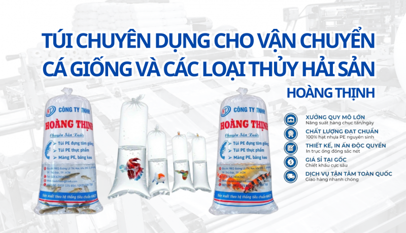 TÚI ĐỰNG CÁ GIỐNG   Giải Pháp Đóng Gói, Vận Chuyển Cá An Toàn & Hiệu Quả