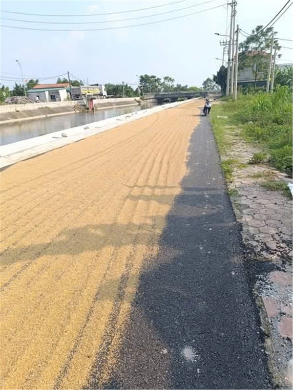 Chính Chủ Bán ĐẤT ĐẤU GIÁ Trịnh Xá, TP Phủ Lý, Hà Nam - Mặt Tiền Đường GIÁ TỐT!