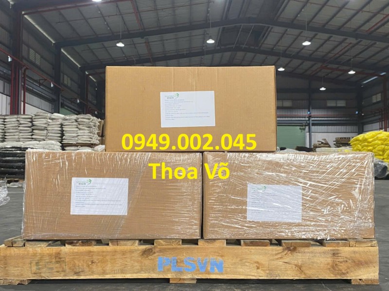 BACILLUS SUBTILIS 10¹¹ CFU/G – Vi Sinh Xử Lý Nước, Đáy Ao & Hỗ Trợ Tiêu Hóa Tôm Cá