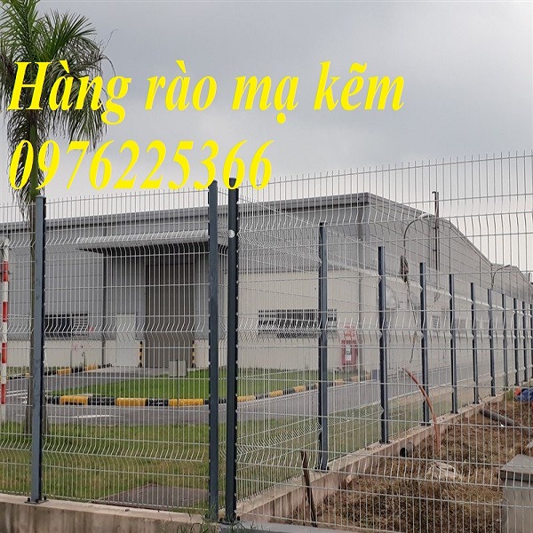Báo giá hàng rào lưới thép hàn D5