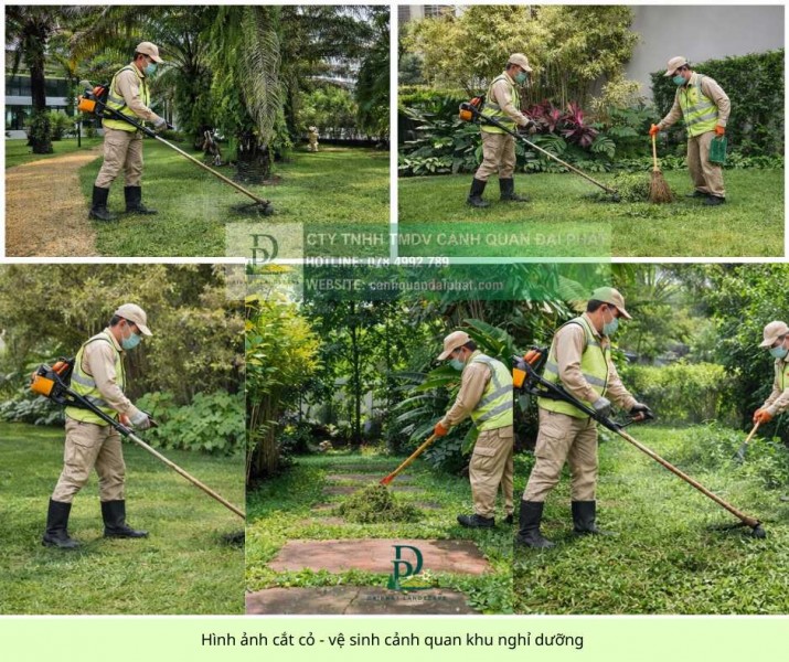 DỊCH VỤ CẮT CỎ - CƯA CÂY TAM PHƯỚC, ĐỒNG NAI