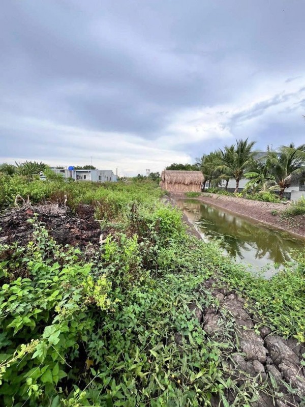 ĐẤT NỀN MẶT TIỀN + KÈM VUÔNG LIỀN KỀ Tại Ấp 2, Thị trấn Cái Đôi Vàm, Huyện Phú Tân, Cà Mau