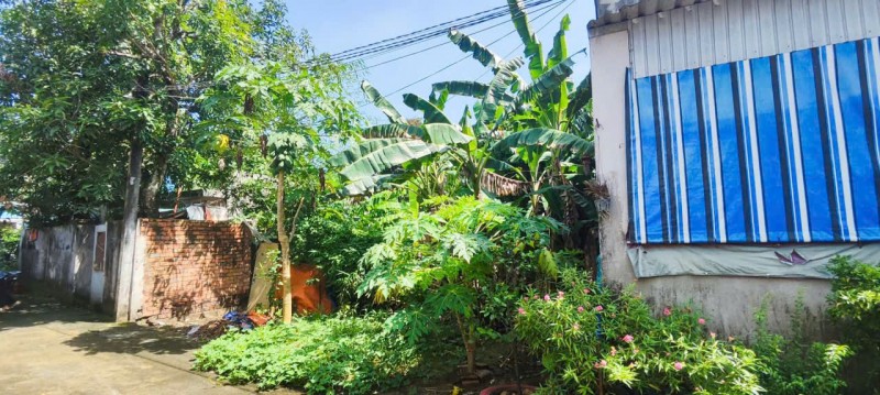 Chính chủ bán đất Phước Tân, gần bệnh viện phổi Đồng Nai - 240m2, thổ cư, sổ riêng, giá 6,7 tỷ