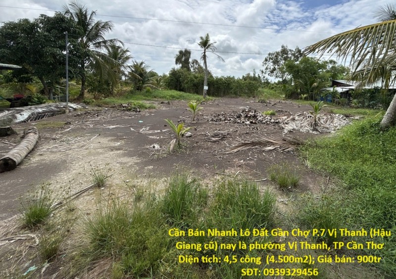 Cần Bán Nhanh Lô Đất Gần Chợ P.7 Vị Thanh (Hậu Giang cũ) nay là phường Vị Thanh, TP Cần Thơ
