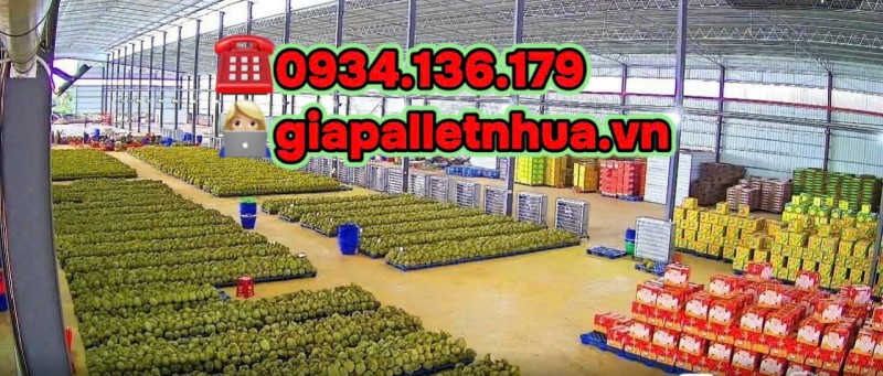 Rổ nhựa - sóng nhựa - cần xé nhựa giá tốt tại Bến Tre!