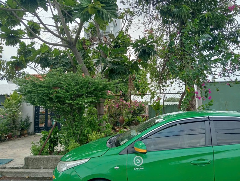 28 TỶ SỞ HỮU BIỆT THỰ 442M² FULL THỔ CƯ – MẶT TIỀN CONTAINER AN PHÚ ĐÔNG