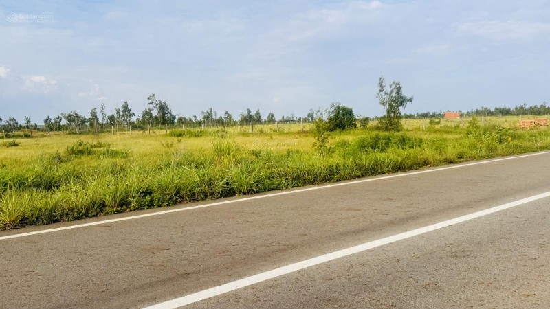 Giảm sốc 10 tỷ - Bán 2,69ha đất MT đường nhựa đón khách về NovaWorld Phan Thiết, cách biển 2,5km