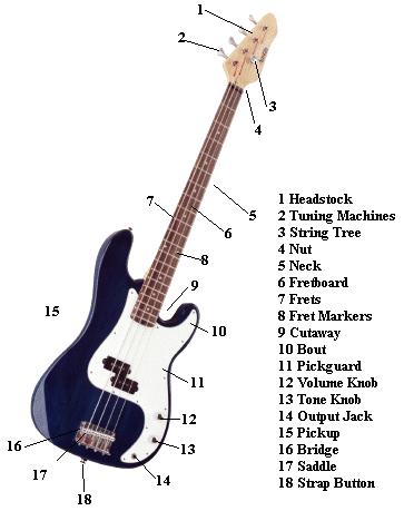 dan guitar bass
