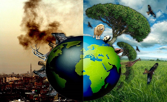 Ô nhiễm môi trường ảnh hưởng như thế nào đến sinh vật?