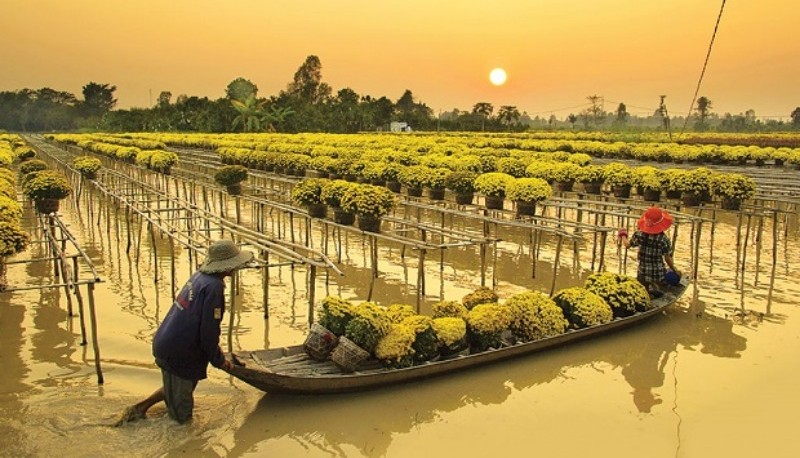 Rao vặt Đồng Tháp: Đăng tin mua bán miễn phí, tiện lợi