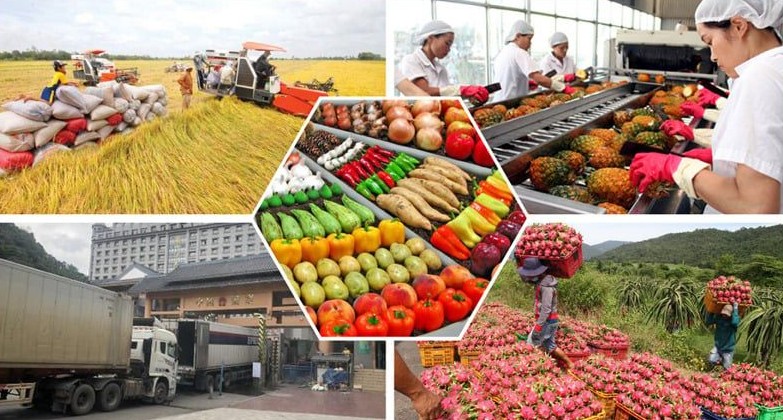 Rao vặt nông sản Rao vặt nông sản