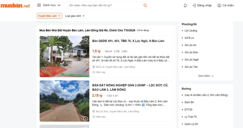 Rao vặt ở Lâm Đồng