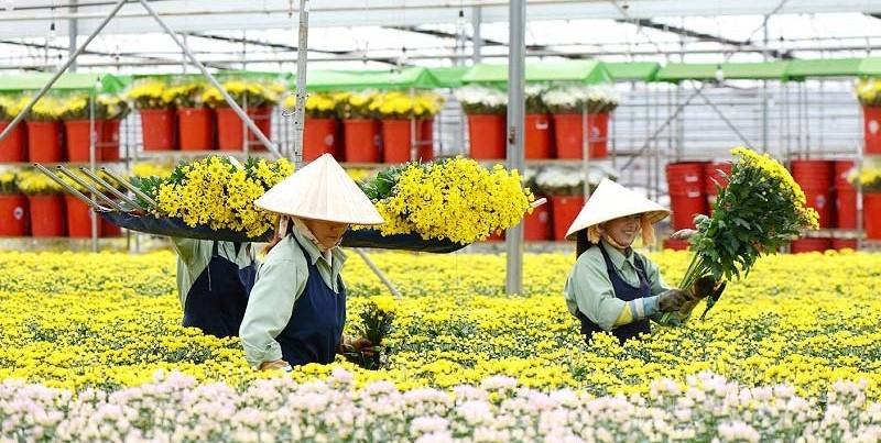 Rao vặt việc làm Đà Lạt