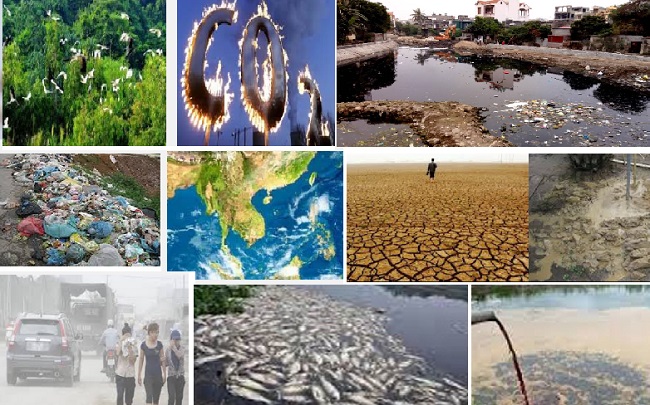Số liệu về hiện trạng ô nhiễm môi trường ở Việt Nam