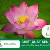 Tác dụng làm đẹp của chiết xuất hoa sen