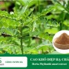 Bán nguyên liệu cao diệp hạ châu định lượng phyllanthin chất lượng cao