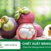 Tác Dụng Làm Đẹp Của Chiết Xuất Măng Cụt