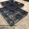 Đại lý cung cấp pallet nhựa giá rẻ tại Thủ Dầu Một 