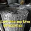 Báo giá lưới hàn mạ kẽm D3A50x50