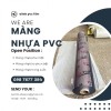 Màng nhựa pvc trong suốt không phun bột 0.20mm