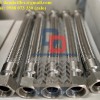 Metal Hose, Khớp nối inox, Khớp chống rung, Khớp nối mềm inox 304