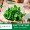 Bán Chiết Xuất Bạc Hà Tự Nhiên – Nguyên Liệu Mỹ Phẩm Cao Cấp