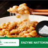 Lợi ích của Enzyme Nattokinase đối với Sức khỏe Tim mạch