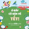 Vé Tết 2025 Bamboo Airways – Cơ hội vàng chỉ từ 650.000Đ/chiều 