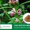 Cao Khô Ích Mẫu - Hỗ Trợ Cân Bằng Nội Tiết Cho Sức Khỏe Phụ Nữ