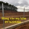 Hàng rào mạ kẽm nhúng nóng D6