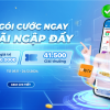 Ưu Đãi Đặc Biệt: Mua gói cước ngay - Ưu đãi ngập đầy