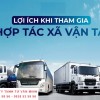 Thành lập hợp tác xã vận tải: Thủ tục và điều kiện cần biết