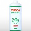 Yucca Best Liquid – Yucca hấp thu khí độc, sạch nước ao nuôi và cấp cứu tôm cá nổi đầu