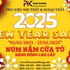 Núm cửa tủ đồng cao cấp | New Year Sale 20% toàn bộ sản phẩm