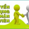 TUYỂN DỤNG CÁN BỘ KỸ THUẬT HỒ SƠ NỘI NGHIỆP