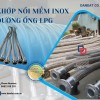 Khớp nối mềm inox mặt bích, khớp chống rung dẫn LPG cao áp