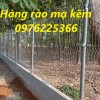 Bảng báo giá hàng rào mạ kẽm nhúng nóng 