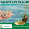 Top 5 thảo dược mát gan, giải nhiệt, giảm stress cho tôm cá