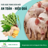 Giải pháp mới thay thế kháng sinh trong chăn nuôi