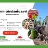 Chuyên ĐẶC SẢN GIÒ ĐÀ ĐIỂU - THỊT ĐÀ ĐIỂU TƯƠI SẠCH BA VÌ
