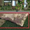 Giá sốc, Đất mặt tiền chỉ với 299 triệu ngay Long Tân, Bà Rịa - Vũng Tàu