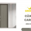 Cửa Gỗ Carbon Tại Bình Dương | Ưu điểm Gì Khiến Khách Mê?