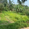 CHÍNH CHỦ CẦN BÁN ĐẤT HÒA NHƠN - HÒA VANG- ĐÀ NẴNG
