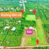 Ea BHốk- Cư Kuin- Đắk Lắk dt 11*50m sẵn 100m2 thổ cư đường ô tô tới đất tiện ích đầy đủ chỉ 369tr