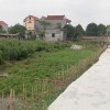 Bán đất Gia Bình, bắc ninh. 100m2 * mt 5m * 1,65 tỷ. ô tô đỗ, full thổ cư
