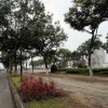 BÁN ĐẤT TẶNG NHÀ CẤP 4 – KIỆT Ô TÔ AN ĐỒN, GẦN ĐƯỜNG TRẦN HƯNG ĐẠO – VỊ TRÍ ĐẸP GẦN ĐIỂM BẮN PHÁO