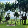TỔ HỢP NGHỈ DƯỠNG CAO CẤP SOCA VILLA – BA VÌ