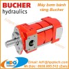 Máy bơm bánh răng Bucher chính hãng tại Việt Nam
