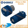 Nhà cung cấp Động cơ điện Gemels Việt Nam