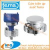 Cảm biến áp suất Tema - Đồng hồ đo nhiệt độ Tema Việt Nam